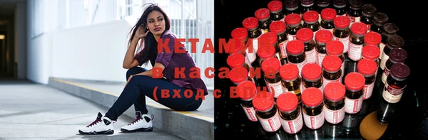 соль ск Алексин