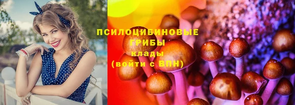 молекула духа Алзамай