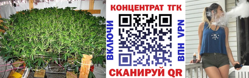 ТГК гашишное масло  ОМГ ОМГ ССЫЛКА  Данилов 