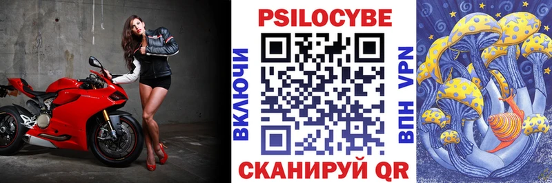 хочу наркоту  Данилов  KRAKEN вход  Галлюциногенные грибы Psilocybine cubensis 